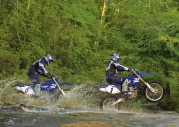 Yamaha WR250F